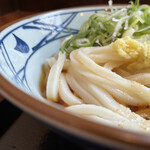 Marugame Seimen - ぶっかけ冷並