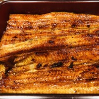 割烹蒲焼 横浜八十八 NEWoMan横浜店 -  割烹蒲焼 横浜八十八 NEWoMan横浜店 -