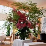 Ristorante Aroma-fresca - 