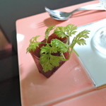 日本料理 にじ - 小豆羊羹