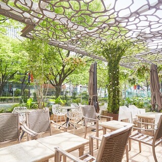 カフェ&ダイニング ゼルコヴァ_1