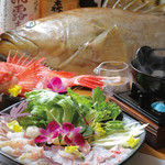 Umino Shiki - 特製キンキ＆クエのしゃぶしゃぶコース　幻の高級魚クエとキンキのしゃぶしゃぶは絶品です！
