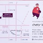 Cherry blossom - ショップカード(裏)