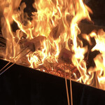 土佐たたき道場 - 