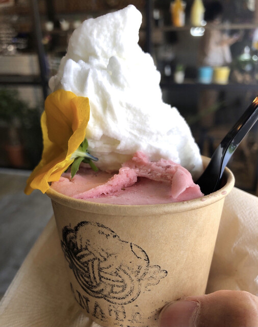 農家の息子がつくるジェラートの店 ハナタバ Hanataba 関屋 アイスクリーム 食べログ