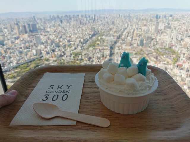 スカイガーデン300 Sky Garden300 大阪阿部野橋 ダイニングバー ネット予約可 食べログ スカイガーデン300 Sky Garden300 大阪阿部野橋 ダイニングバー ネット予約可 食べログ
