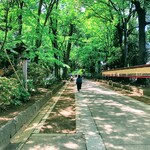 Okushinshuu - 氷川神社の参道