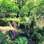 Okushinshuu - 大宮公園にこんな水の流れがある場所があるなんて