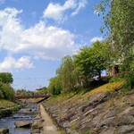 川亀 - 谷津田川せせらぎ通り