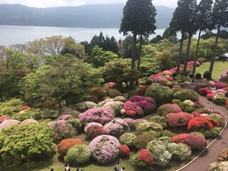 Tsutsujino Chaya - 