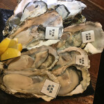 おさしみセンター イチノサン THE OYSTER MANS - 