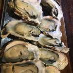 おさしみセンター イチノサン THE OYSTER MANS - 