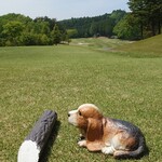 ロペ倶楽部 テラスレストラン - １０番ミドルホール