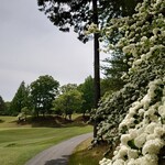 ロペ倶楽部 テラスレストラン - １０番ミドルホールのグリーン