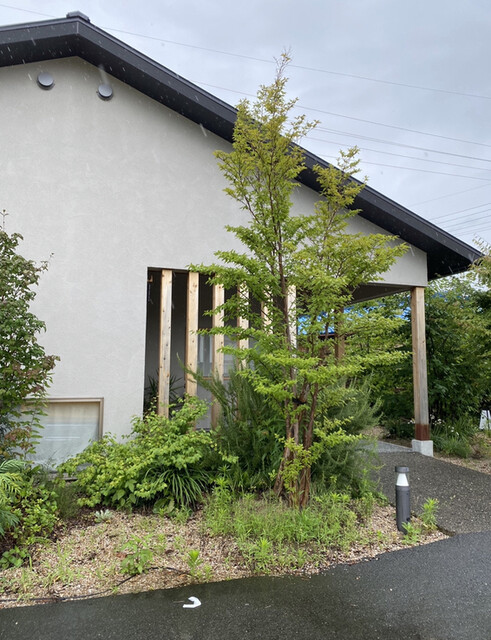 手打ちそば さんぽ 松阪 そば 食べログ 手打ちそば さんぽ 松阪 そば 食べログ
