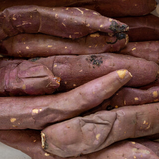 蔵出し焼き芋かいつか_0