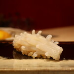 鮨 しみづ - 佐賀県唐津のやりいか