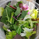 Salad Ballad - 下段の葉物野菜 Salad Ballad - 下段の葉物野菜