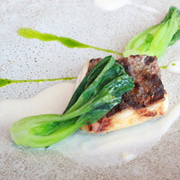 ブリーズ オブ トウキョウ - 