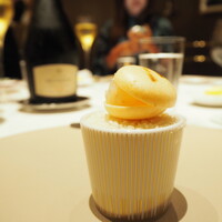 スガラボヴィー - 