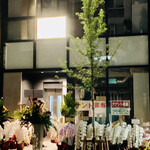 Nihon Ryouri Ryuuen - ◎すごい数のお祝いの胡蝶蘭があり驚いた。通行人が皆んな写真を撮っていた。