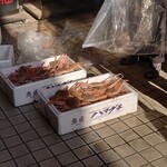 一条流がんこ総本家分家四谷荒木町 - 