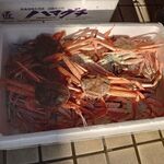 一条流がんこ総本家分家四谷荒木町 - セイコガニ15kg