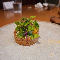 Couche - サワークリームと蜂蜜のタルト　ハーブサラダ仕立て