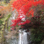 久國紅仙堂 - もみじの天ぷらを食べながら→箕面大滝の紅葉へ是非♪