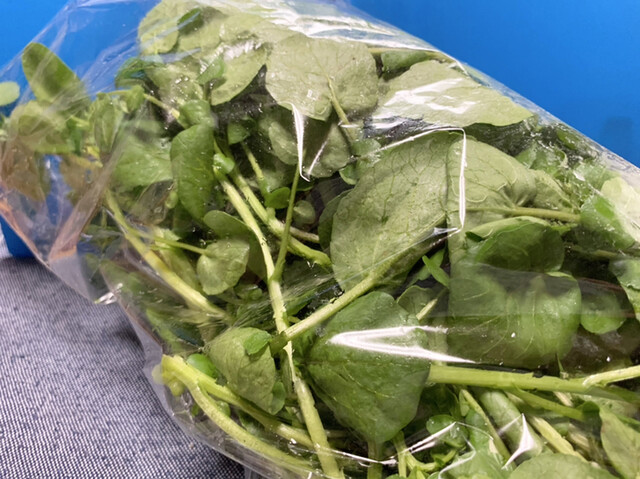 小室わさび屋 ゆりあげ港朝市店 - 美田園（その他）の写真