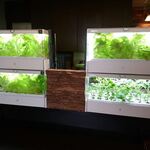 ステーキ・洋食のTANTO屋 - 店内の風景　2021.5