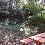 自家焙煎珈琲 Cafe Kubel - テラス席