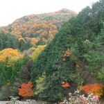 久國紅仙堂 - もみじの天ぷらを食べながら箕面大滝より登った紅葉中の山々♫