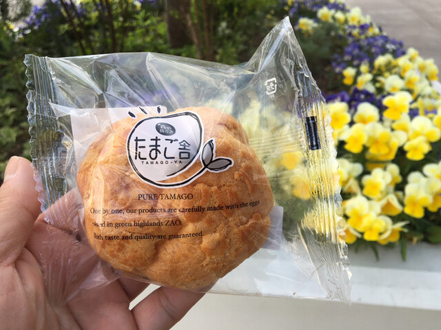 森の芽ぶき たまご舎 三井アウトレットパーク仙台港店 - 中野栄（洋菓子）の写真