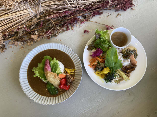 青島ハンモック 子供の国 カフェ 食べログ