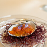 レストラン オオツ - 2021.5 大阪湾赤貝のガスパチョゼリー和え