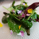 お肉屋 けいすけ 三男坊 - ベビーリーフとお花のライムサラダ