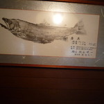 レストランせきれい - 見事な岩魚の魚拓