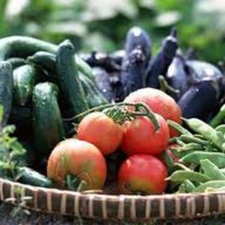 農家さんの愛情たっぷり◎新鮮な野菜は生の方がおいしい！