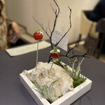 プレゼンテ スギ - 定点 トマト飴