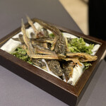 プレゼンテ スギ - はぜぶし