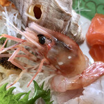 民宿 青塚食堂 - ボタン海老