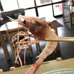 民宿 青塚食堂 - ボタン海老