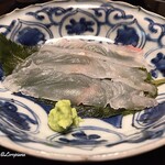 日本料理 新茶家 - 柏葉の香りを移した鮃の造り