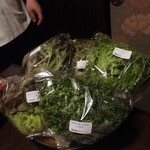 魚の家 - 数々のレタス