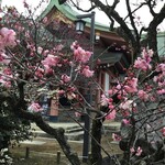 とようけ茶屋 - 