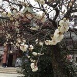 とようけ茶屋 - 