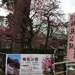 とようけ茶屋 - 