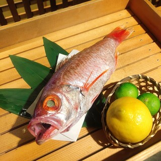 のどぐろ専門 銀座中俣 はなれ_1