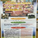 とんかつ 栄ちゃん - 